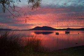 Lake in Morning